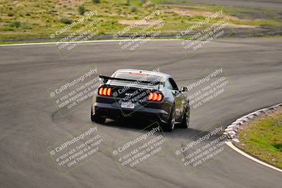 media/Feb-25-2024-Speed Ventures (Sun) [[b9a2a97a4d]]/Mustang Drivers Club/Session 1 (Turns 4 and 5)/